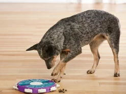 Nina Ottosson Hundespielzeug Level 3 Dog Twister 6 Nina Ottosson Hundespielzeug Level 3 Dog Twister -Angebote Hundeshop Store 1002184 Product