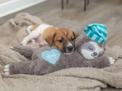 Trixie Junior Herzschlag Plüsch-Faultier Für Welpen 16 Trixie Junior Herzschlag Plüsch-Faultier Für Welpen -Angebote Hundeshop Store 1012600 Product