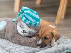 Trixie Junior Herzschlag Plüsch-Faultier Für Welpen 17 Trixie Junior Herzschlag Plüsch-Faultier Für Welpen -Angebote Hundeshop Store 1012601 Product