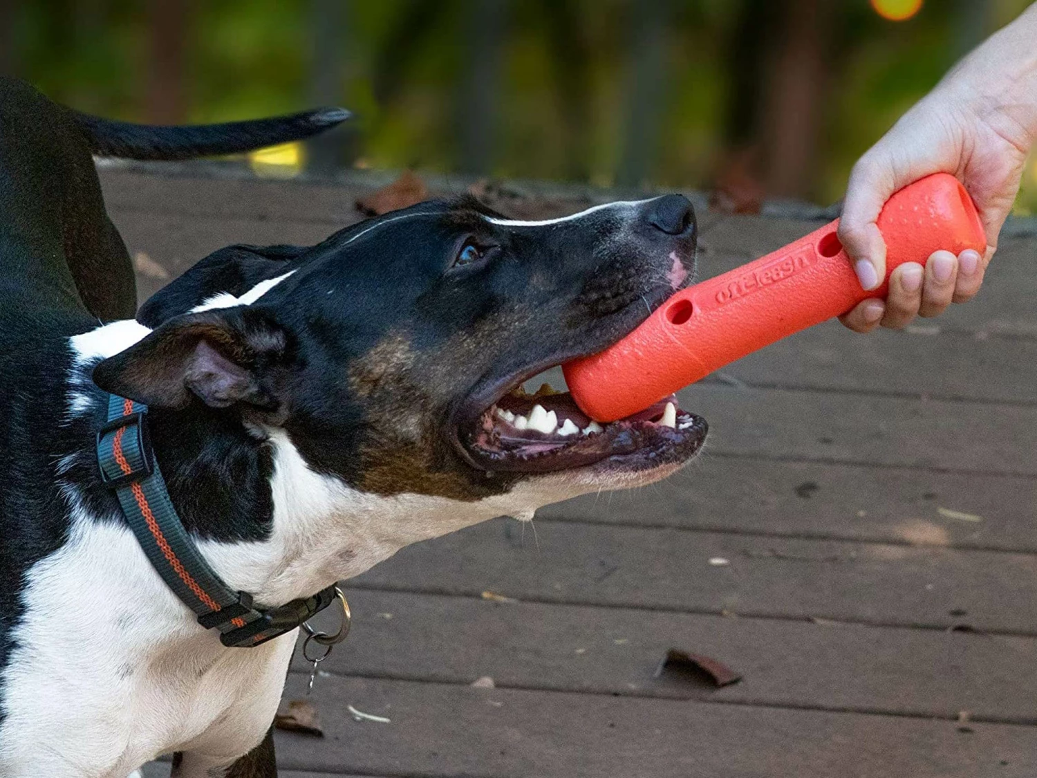 Dexas Off Leash Tumbler Dummy Für Hunde 5 Dexas Off Leash Tumbler Dummy Für Hunde – Bild 5