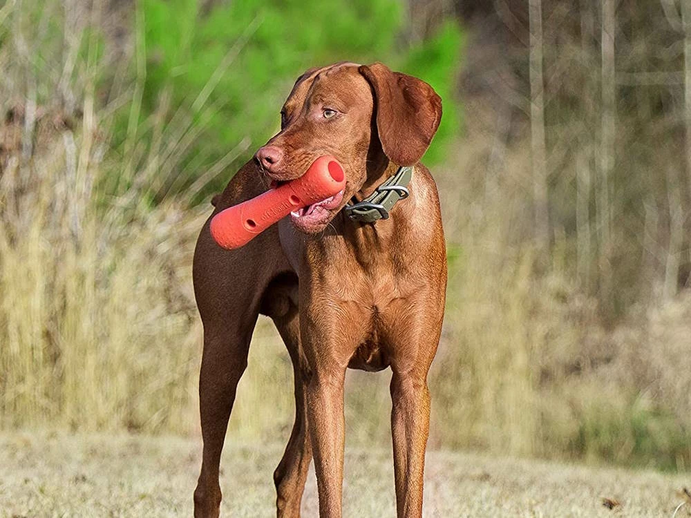 Dexas Off Leash Tumbler Dummy Für Hunde 6 Dexas Off Leash Tumbler Dummy Für Hunde – Bild 6