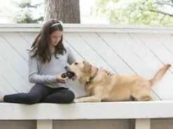 Kong Extreme Kauspielzeug Für Hunde -Angebote Hundeshop Store 1016455 Product