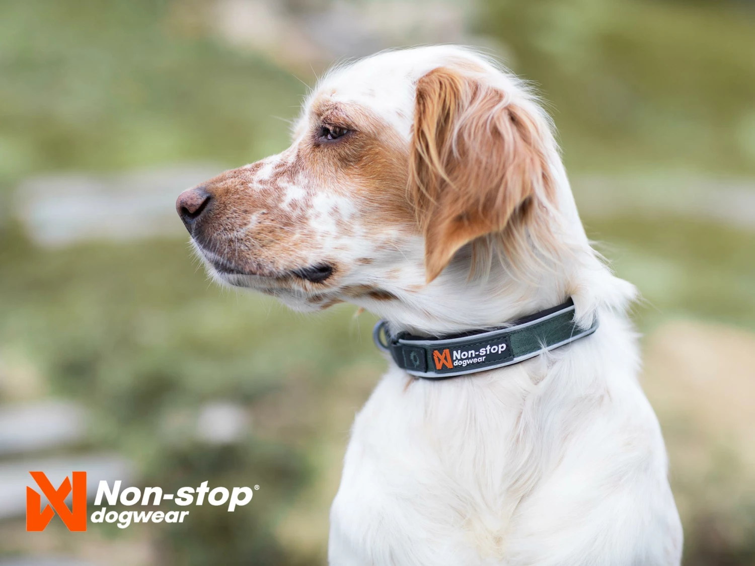Non-Stop Dogwear Hundehalsband Roam Collar Orange 3 Non-Stop Dogwear Hundehalsband Roam Collar Orange – Bild 3