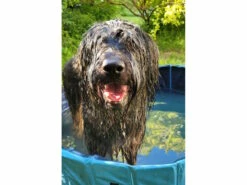 Trixie Hundepool Planschbecken Für Hunde -Angebote Hundeshop Store 1046126 Product