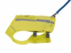 Ruffwear Trail Runner™ Hunde-Laufweste Lichen Green -Angebote Hundeshop Store 1048018 Product