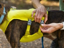 Ruffwear Trail Runner™ Hunde-Laufweste Lichen Green -Angebote Hundeshop Store 1048021 Product