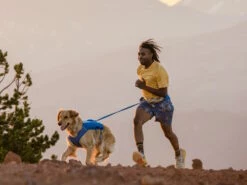 Ruffwear Trail Runner™ Hunde-Laufweste Blue Pool -Angebote Hundeshop Store 1048425 Product