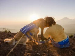 Ruffwear Trail Runner™ Hunde-Laufweste Blue Pool -Angebote Hundeshop Store 1048426 Product