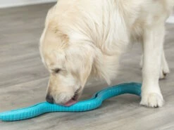 Trixie Snack Snake Hundespielzeug XXL Petrol -Angebote Hundeshop Store 1051958 Product