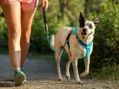 Ruffwear Knot-a-Long™ Kurzführer Hundeleine Aurora Teal -Angebote Hundeshop Store 1052614 Product