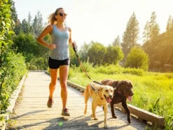 Ruffwear Knot-a-Long™ Kurzführer Hundeleine Red Sumac 8 Ruffwear Knot-a-Long™ Kurzführer Hundeleine Red Sumac -Angebote Hundeshop Store 1052653 Product