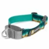Ruffwear Web Reaction™ Martingal Hundehalsband Seafoam