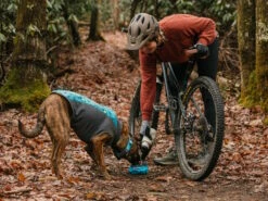 Ruffwear® Climate Changer™ Pullover Für Hunde Glacier -Angebote Hundeshop Store 1058870 Product