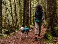 Ruffwear® Climate Changer™ Pullover Für Hunde Glacier -Angebote Hundeshop Store 1058872 Product