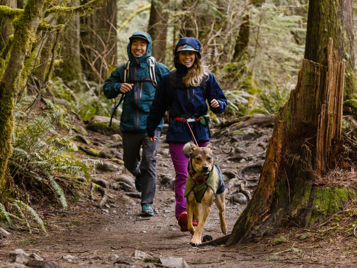 Ruffwear Sun Shower™ Regenmantel Für Hunde Midnight Blue 8 Ruffwear Sun Shower™ Regenmantel Für Hunde Midnight Blue – Bild 8