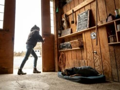 Ruffwear Overcoat™ Gefütterte Allwetter-Hundejacke Slate Blue 10 Ruffwear Overcoat™ Gefütterte Allwetter-Hundejacke Slate Blue -Angebote Hundeshop Store 1063244 Product