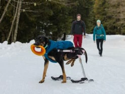 Ruffwear Quinzee™ Winter Hundejacke Blue Moon 14 Ruffwear Quinzee™ Winter Hundejacke Blue Moon -Angebote Hundeshop Store 1063920 Product