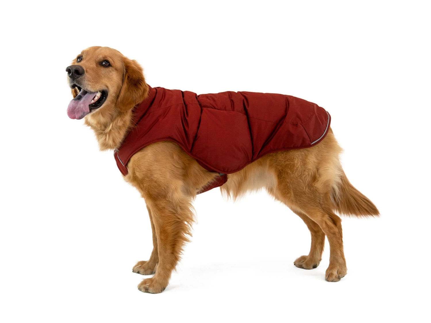 Ruffwear Quinzee™ Winter Hundejacke Fired Brick 7 Ruffwear Quinzee™ Winter Hundejacke Fired Brick – Bild 7