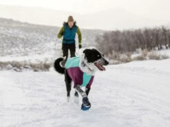 Ruffwear Powder Hound™ Winterjacke Für Hunde Aurora Teal 8 Ruffwear Powder Hound™ Winterjacke Für Hunde Aurora Teal -Angebote Hundeshop Store 1071615 Product