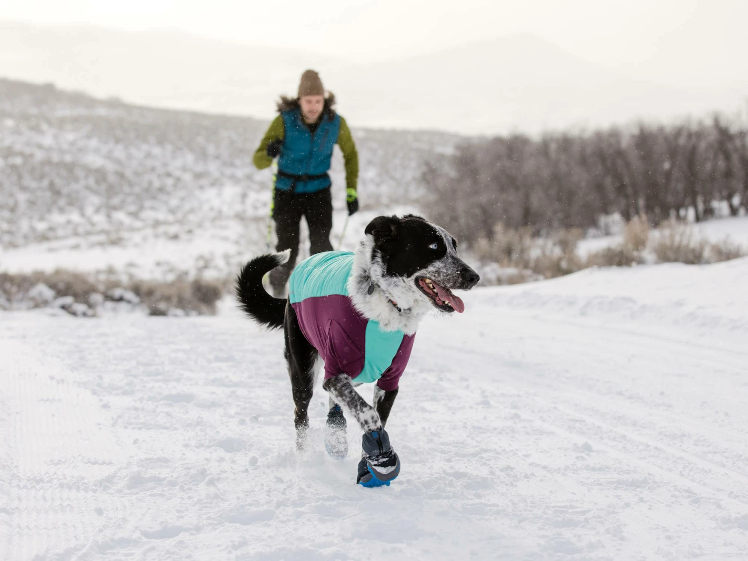 Ruffwear Powder Hound™ Winterjacke Für Hunde Aurora Teal 4 Ruffwear Powder Hound™ Winterjacke Für Hunde Aurora Teal – Bild 4