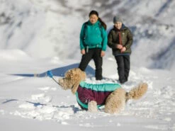 Ruffwear Powder Hound™ Winterjacke Für Hunde Aurora Teal 9 Ruffwear Powder Hound™ Winterjacke Für Hunde Aurora Teal -Angebote Hundeshop Store 1071623 Product