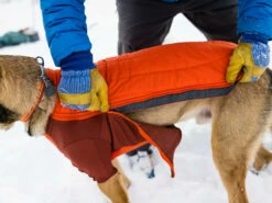 Ruffwear Powder Hound™ Winterjacke Für Hunde Persimmon Orange 12 Ruffwear Powder Hound™ Winterjacke Für Hunde Persimmon Orange -Angebote Hundeshop Store 1071882 Product