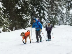 Ruffwear Polar Trex™ Hundeschuhe Schwarz -Angebote Hundeshop Store 1072375 Product