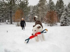 Ruffwear Pacific Loop Hundespielzeug Sockeye Red 5 Ruffwear Pacific Loop Hundespielzeug Sockeye Red -Angebote Hundeshop Store 1074062 Product