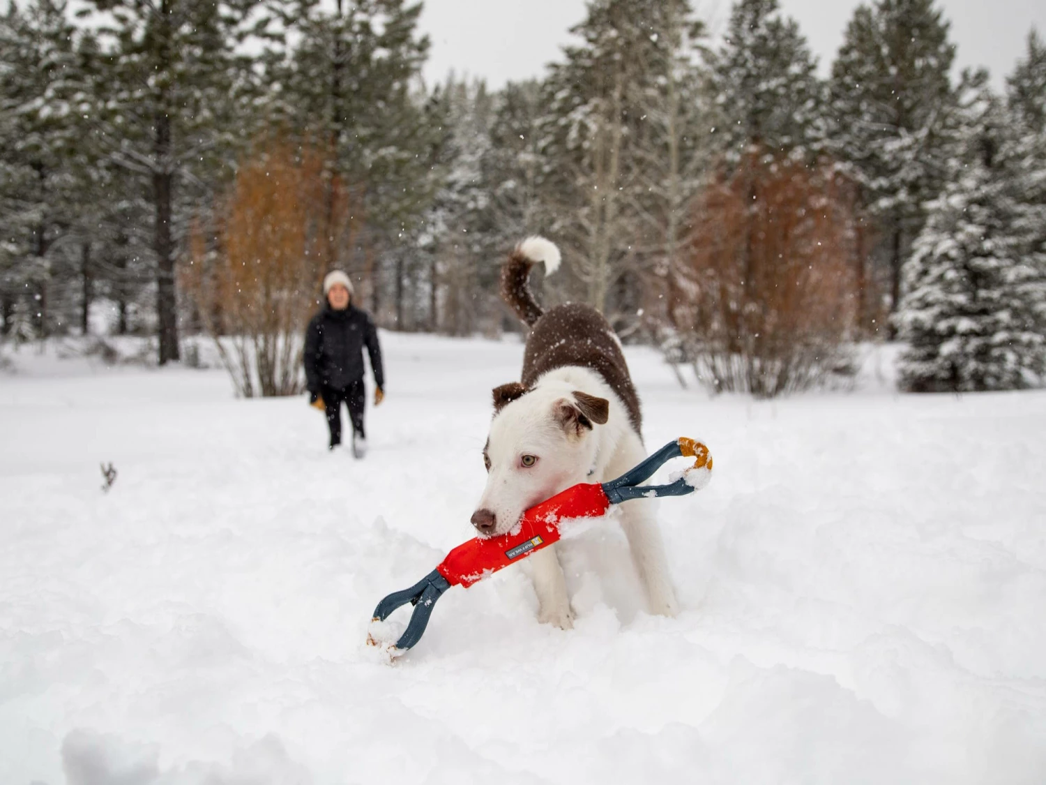 Ruffwear Pacific Loop Hundespielzeug Sockeye Red 3 Ruffwear Pacific Loop Hundespielzeug Sockeye Red – Bild 3