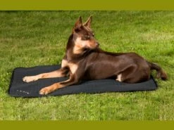 Back On Track Hundematratze Allround 7 Back On Track Hundematratze Allround -Angebote Hundeshop Store 132802 Product