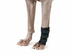 Back On Track Hundegelenkschoner