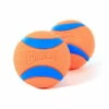 Chuckit Ultra Ball Gr. M 2er Set