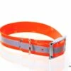 Relaxoo Biothane Reflex Hundehalsband Orange 25mm Breit
