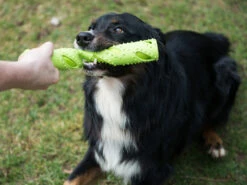 Magic Dummy 7 Magic Dummy -Angebote Hundeshop Store 281683 Product