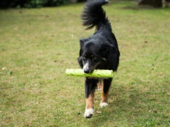 Magic Dummy 6 Magic Dummy -Angebote Hundeshop Store 281685 Product