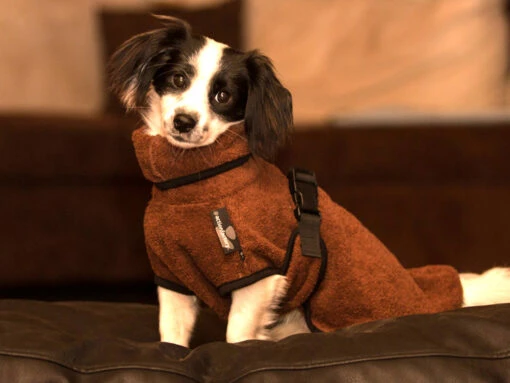 Dryup Cape Hundebademantel Mini Braun 7 Dryup Cape Hundebademantel Mini Braun -Angebote Hundeshop Store 403316 Product