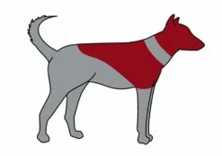 Trixie Schutzkragen Aufblasbare Halskrause Für Hunde -Angebote Hundeshop Store 415059 Product