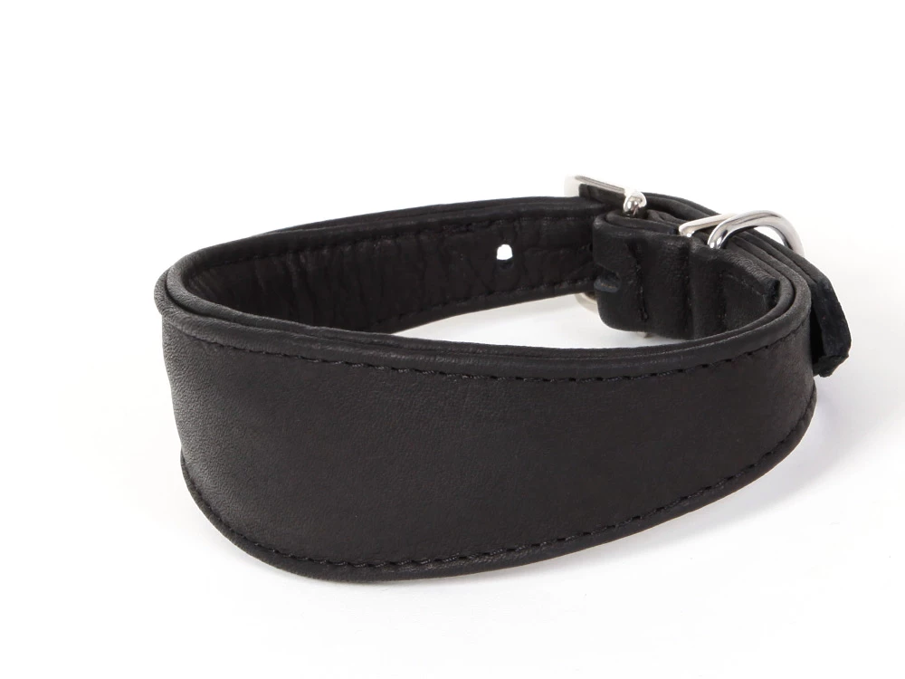 Windhunde Halsband Luxor Nappaleder Schwarz 1 Windhunde Halsband Luxor Nappaleder Schwarz