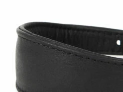 Windhunde Halsband Luxor Nappaleder Schwarz 5 Windhunde Halsband Luxor Nappaleder Schwarz -Angebote Hundeshop Store 436585 Product