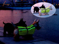 Leucht- & Wärme Hundemantel Flecta Vizlite DT -Angebote Hundeshop Store 440605 Product