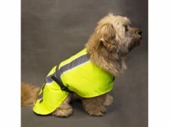 Leucht- & Wärme Hundemantel Flecta Vizlite DT -Angebote Hundeshop Store 440607 Product