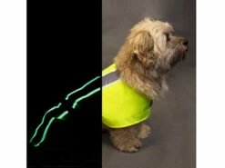 Leucht- & Wärme Hundemantel Flecta Vizlite DT -Angebote Hundeshop Store 440609 Product