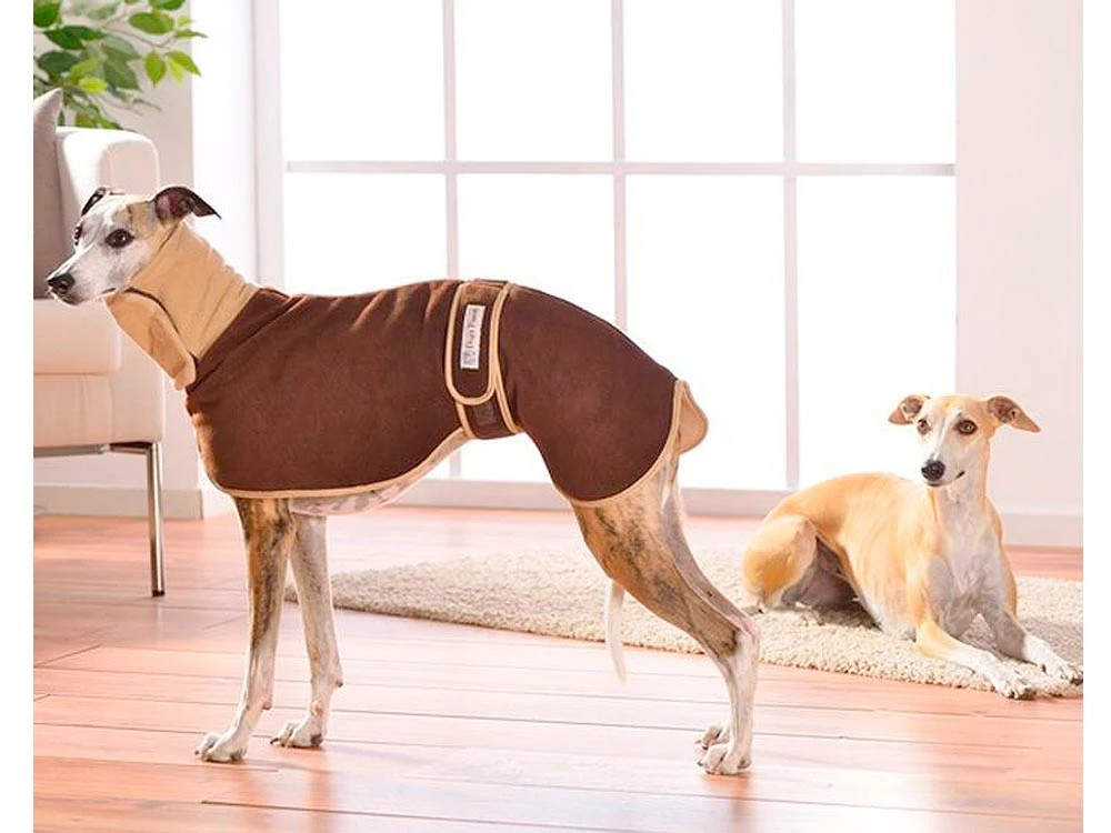 Polarfleece Windhund Hundemantel Aberdeen 1 Polarfleece Windhund Hundemantel Aberdeen