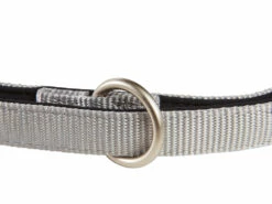 Angebote Hundeshop Store -Angebote Hundeshop Store 501544 Product