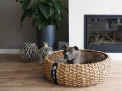 District 70 Cocoon Rattan Hundebett -Angebote Hundeshop Store 505226 Product