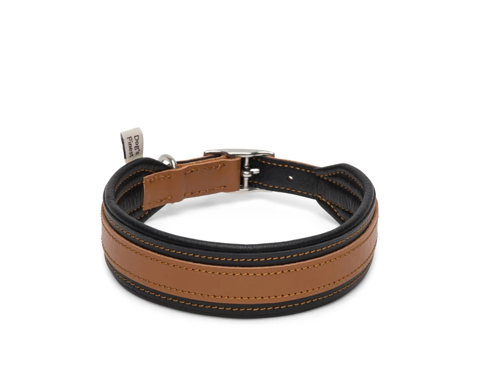 Hundehalsband Ridgeback Komfort Schwarz 1 Hundehalsband Ridgeback Komfort Schwarz