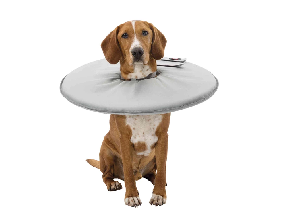 Trixie Schutzkragen Für Hunde 1 Trixie Schutzkragen Für Hunde