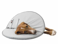 Trixie Schutzkragen Für Hunde 7 Trixie Schutzkragen Für Hunde -Angebote Hundeshop Store 544794 Product