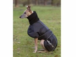 Back On Track Windhundmantel -Angebote Hundeshop Store 610008 Product