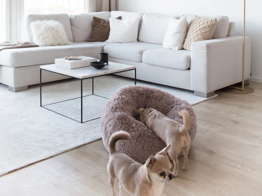 District 70 FUZZ Hundebett Donut Light Grey 2 District 70 FUZZ Hundebett Donut Light Grey – Bild 2